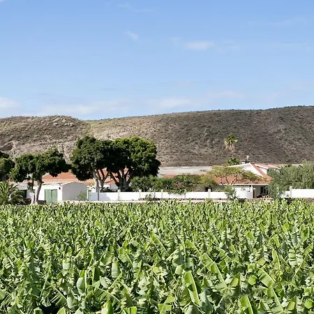 Caserío De Guaza * Palm-mar